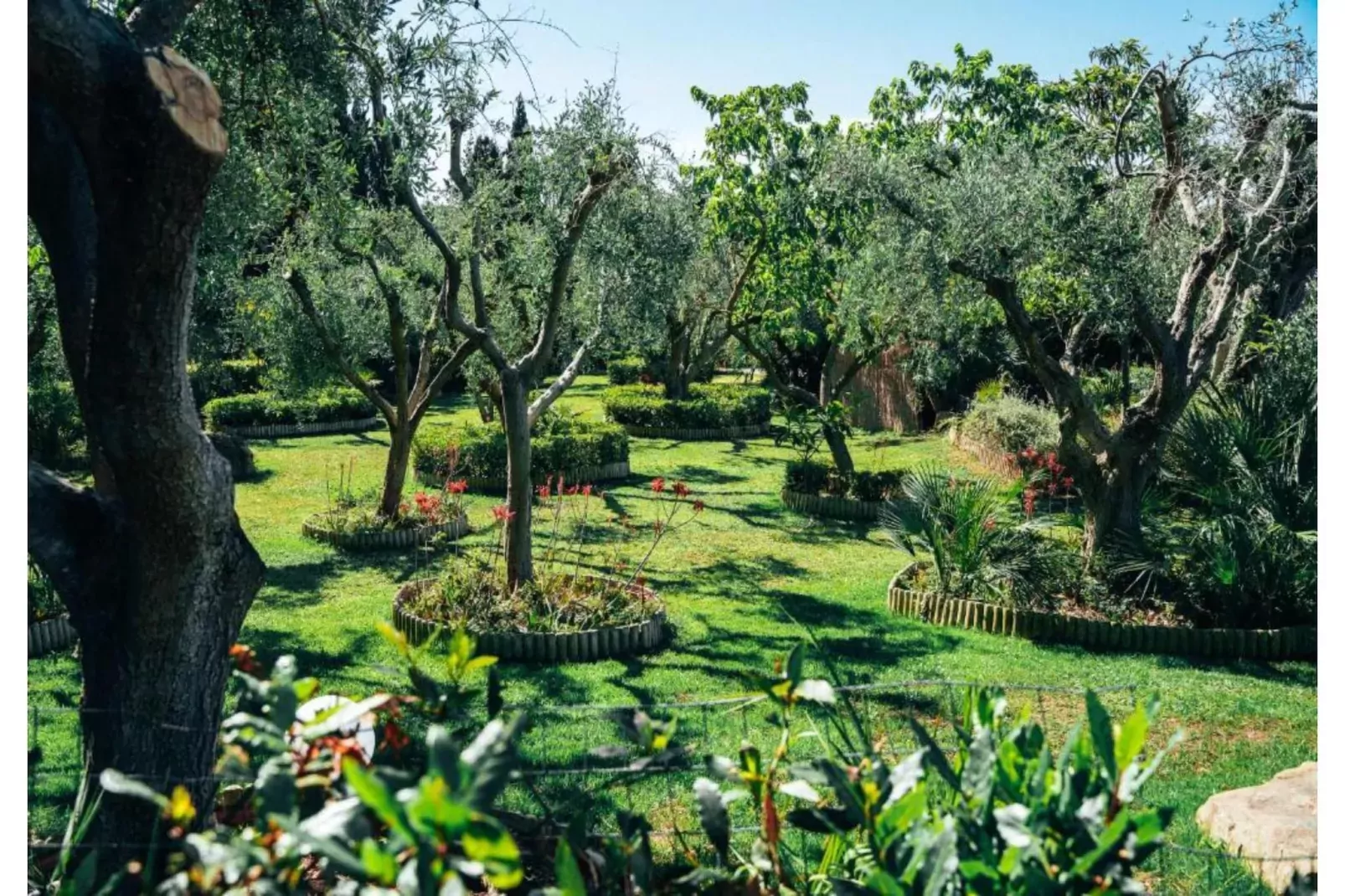 Residence Park Solemaremma 2-Zi-App Classic A BK/TE 30 qm-Tuinen zomer
