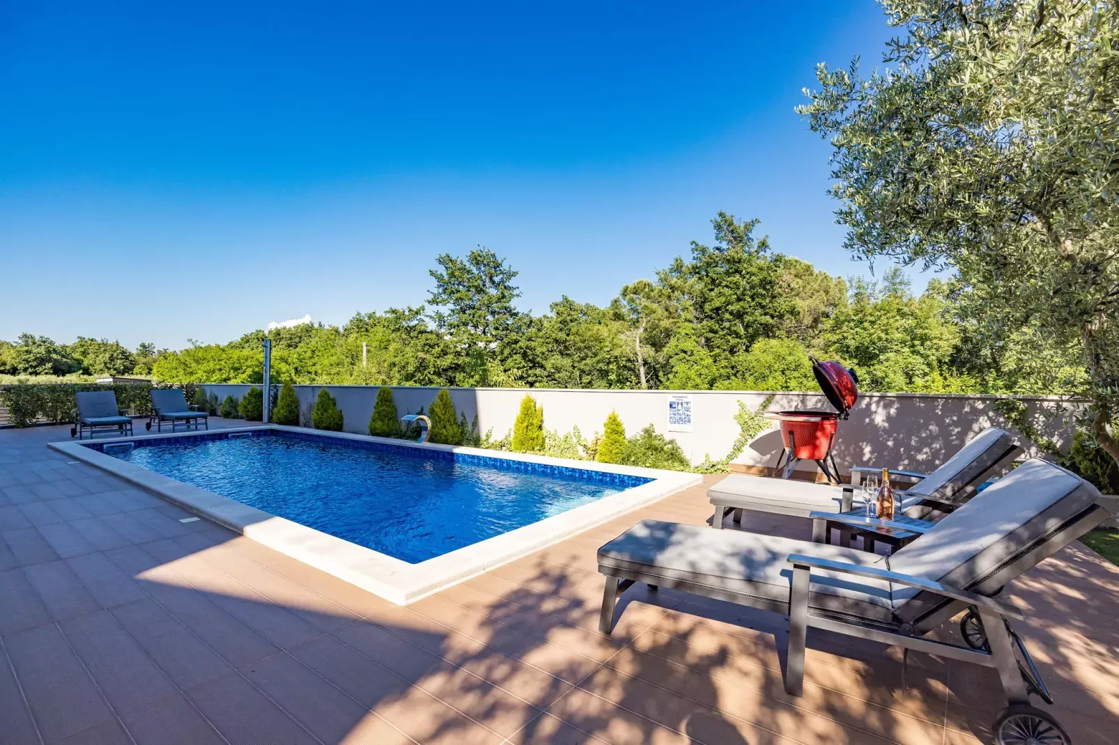 Villa Pinus-Zwembad