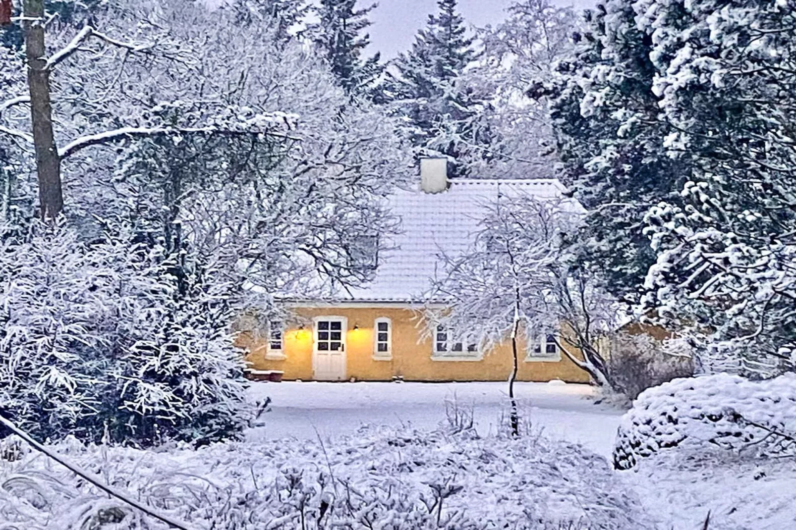 5 sterren vakantie huis in Ålbæk-Buitenlucht