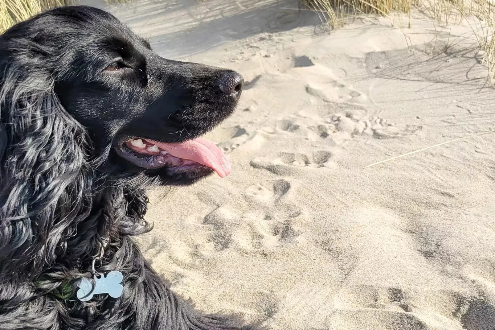 Luxe retraite nabij strand -- By Traum Ferienwohnungen-Niet-getagd