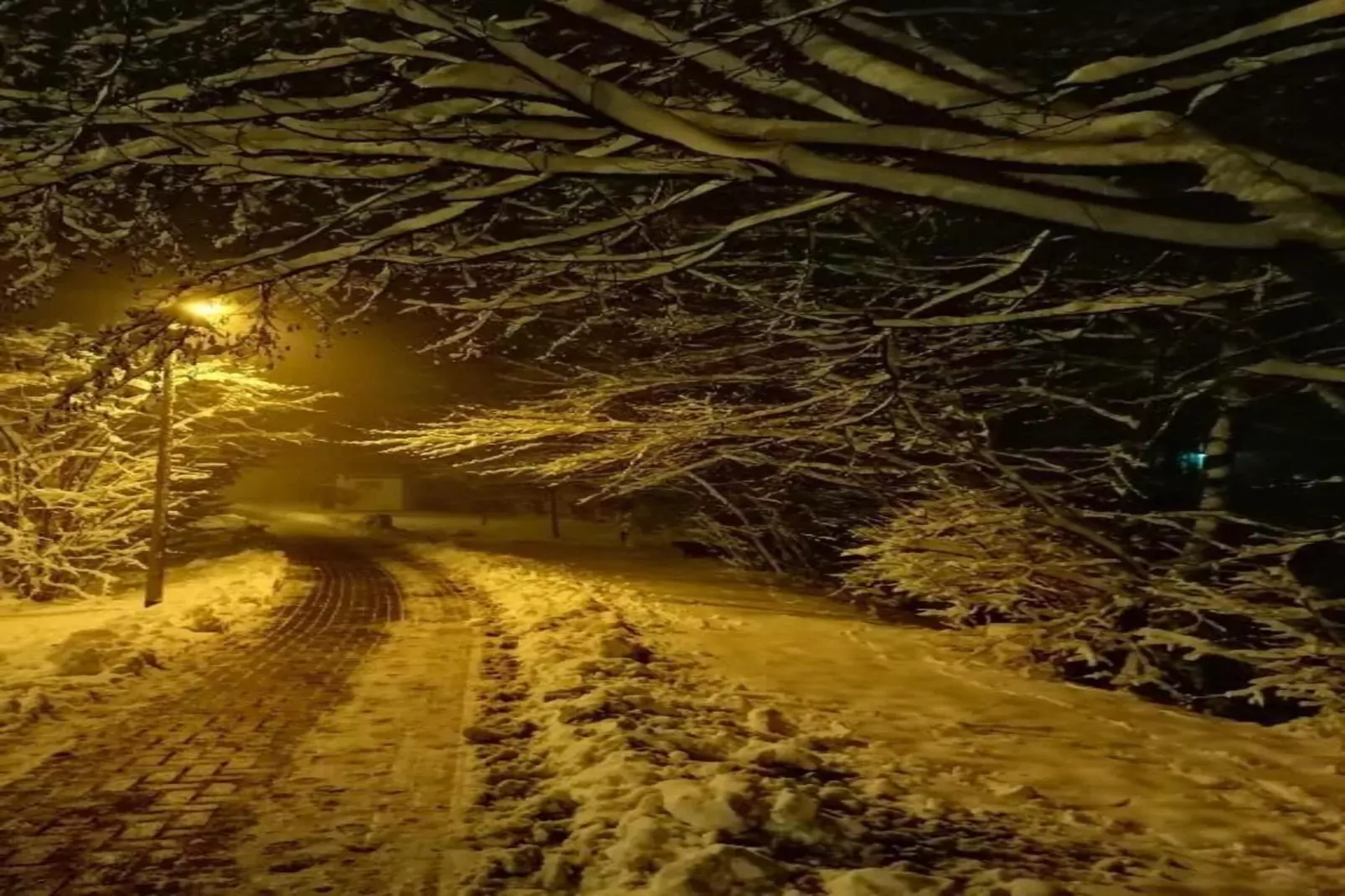 Wernigerode-Gebied winter 20km