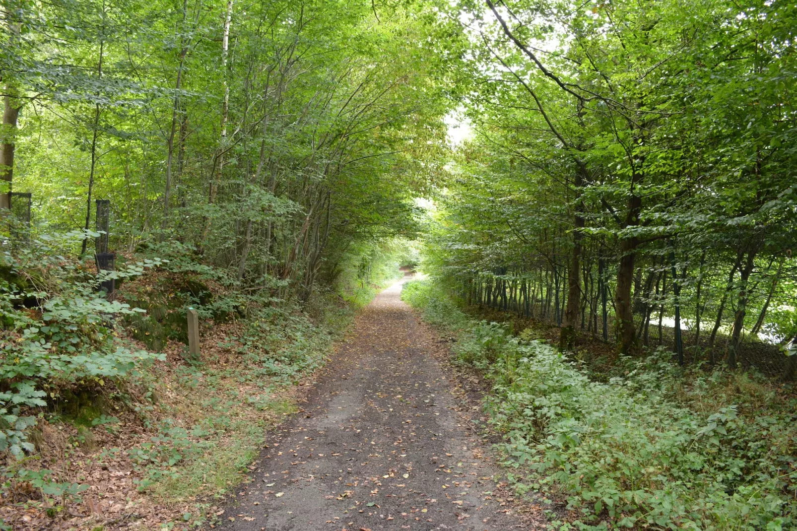 Le Fenil-Gebieden zomer 1km