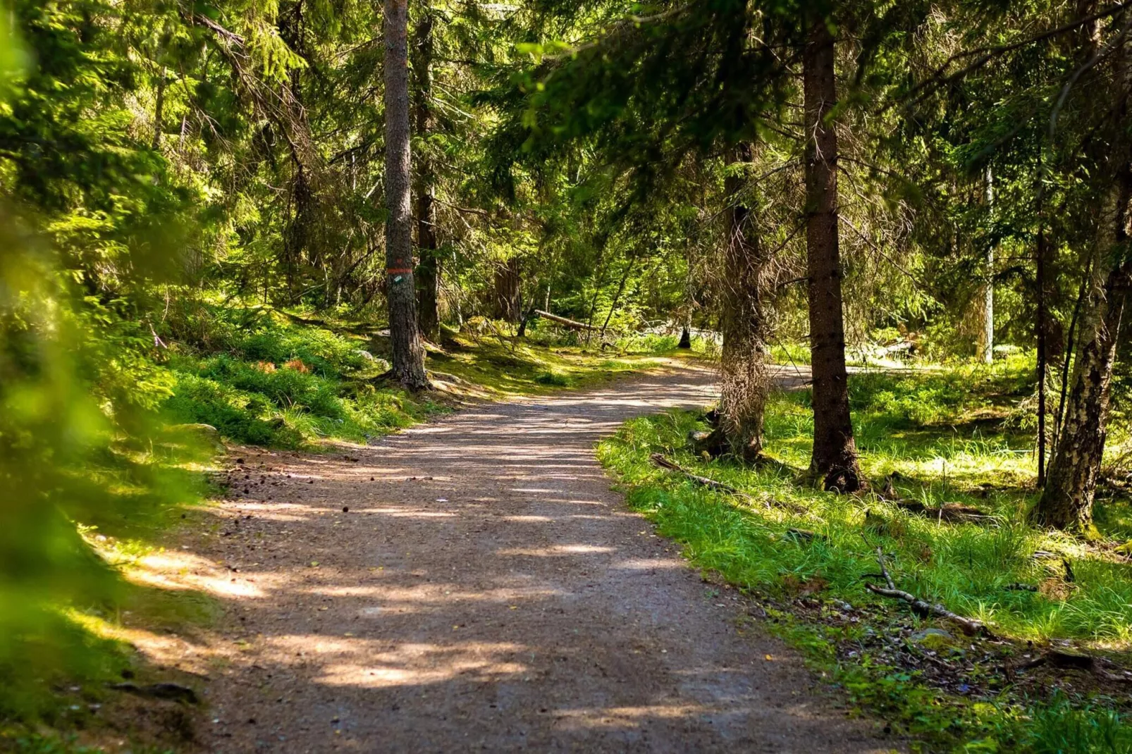 8 persoons vakantie huis in VETLANDA-Buitenlucht