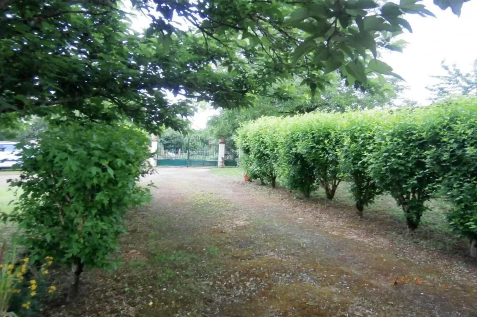 Le Bolet-Gebieden zomer 20km