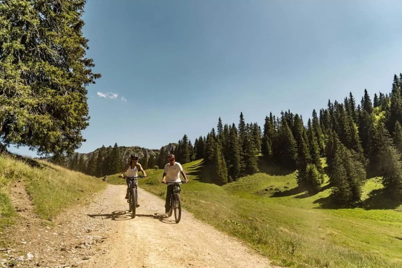 Alpenlake AP110  LAC & NATURE 4 Pers-Gebieden zomer 1km