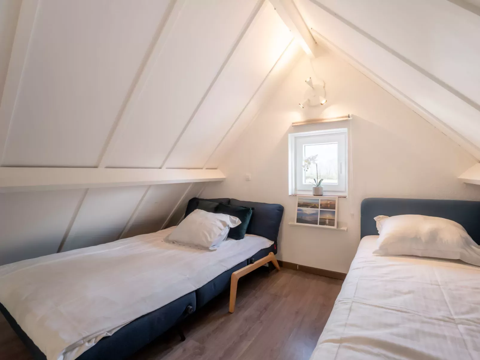 Beluga with parking and shared pool-Binnen