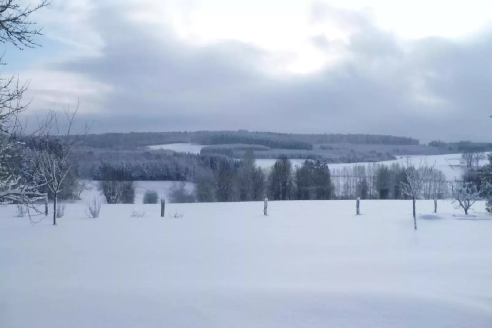 Sijs-Gebied winter 20km
