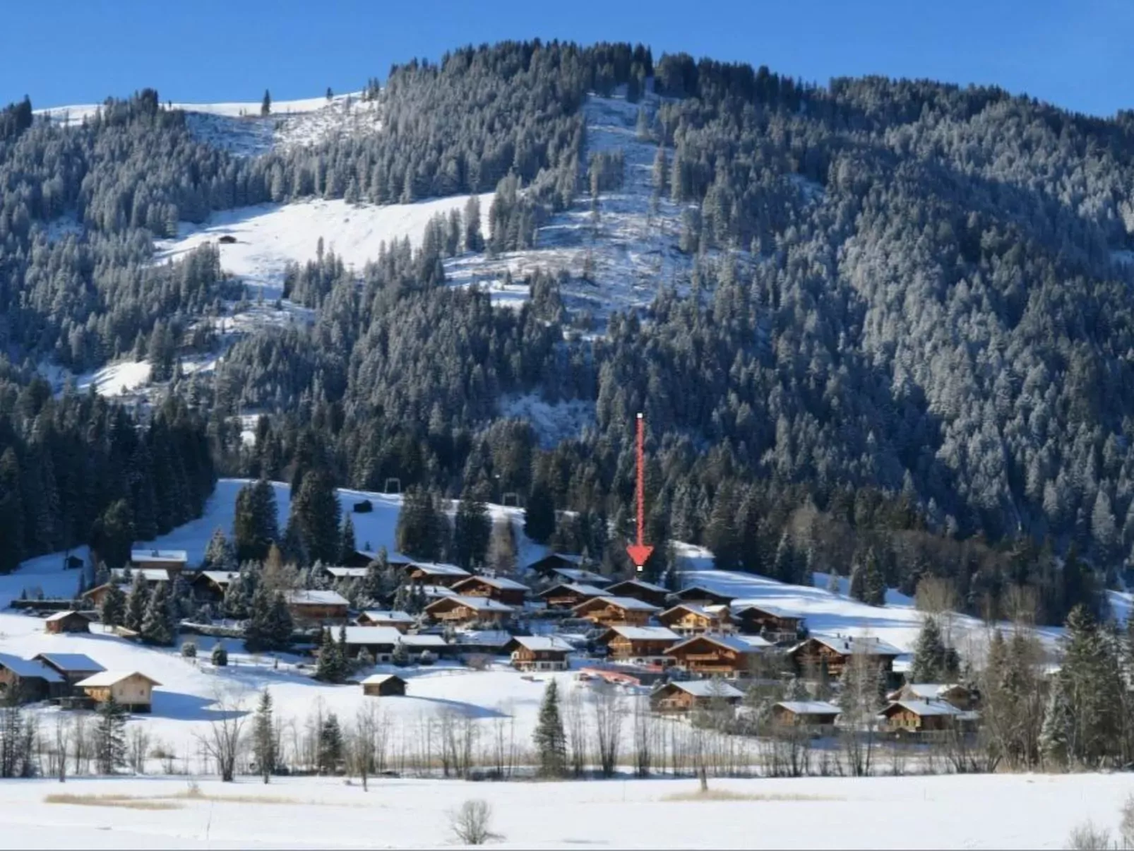 Silberdistel-Buiten