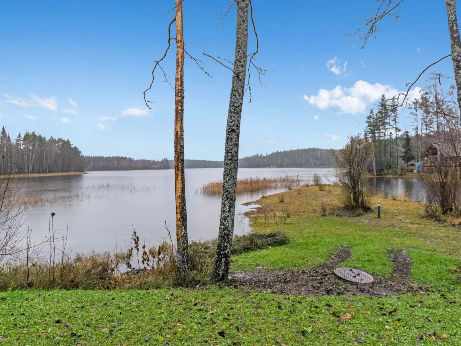 Käkikello-Buiten