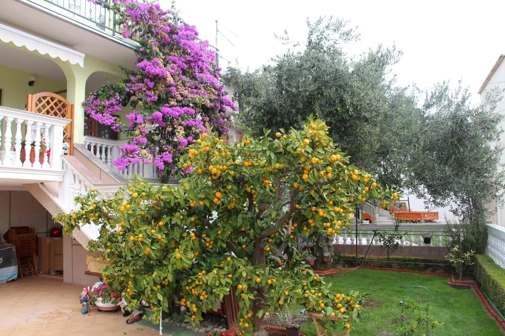 Apartments Gojevic - two bedroom apartment A2-Tuinen zomer