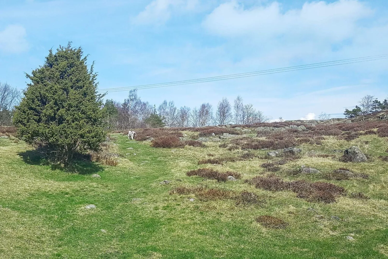 4 persoons vakantie huis in KYRKESUND-By Traum-Uitzicht