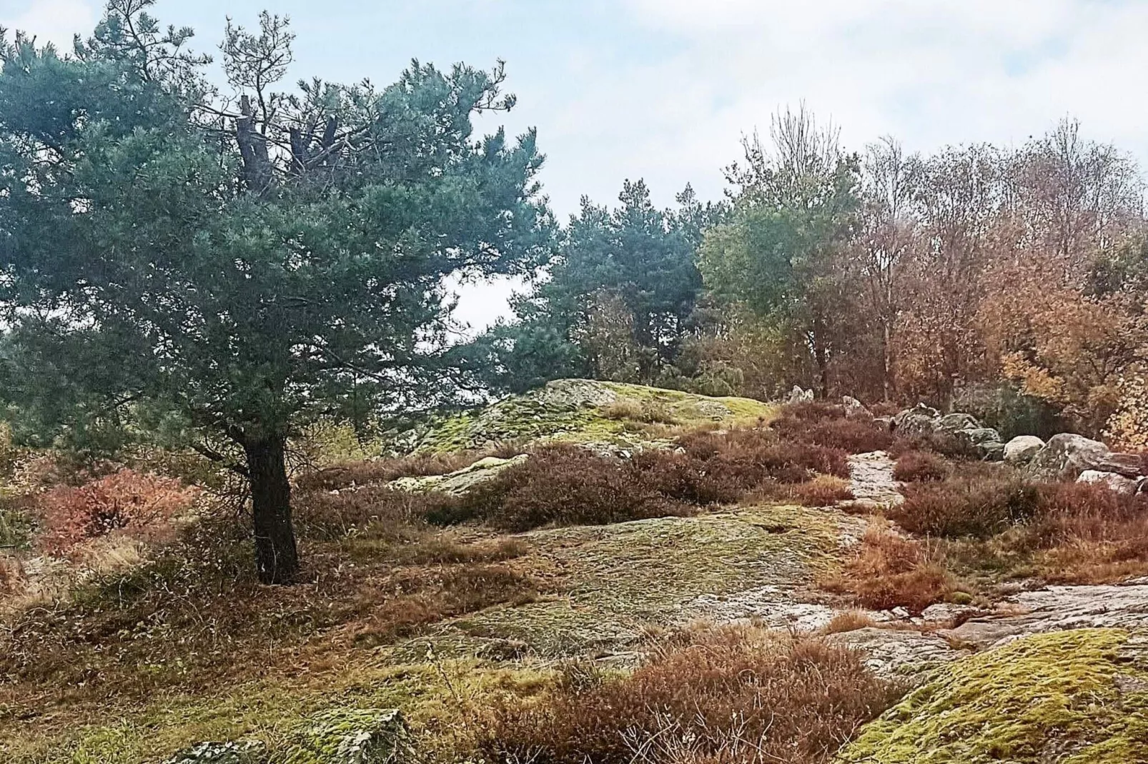 4 persoons vakantie huis in KYRKESUND-By Traum-Uitzicht