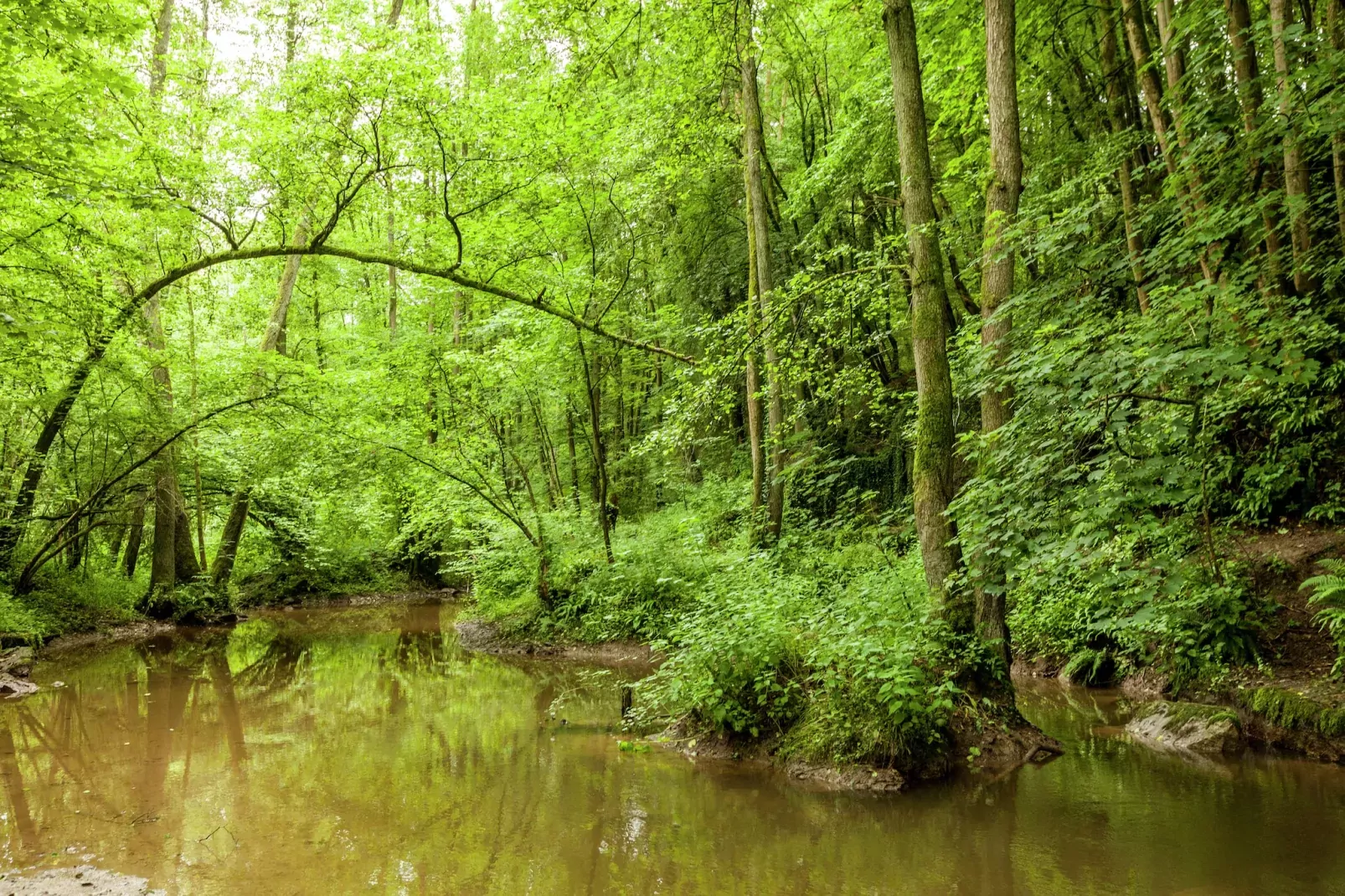 Domaine De L'Ecureuil 3-Gebieden zomer 5km