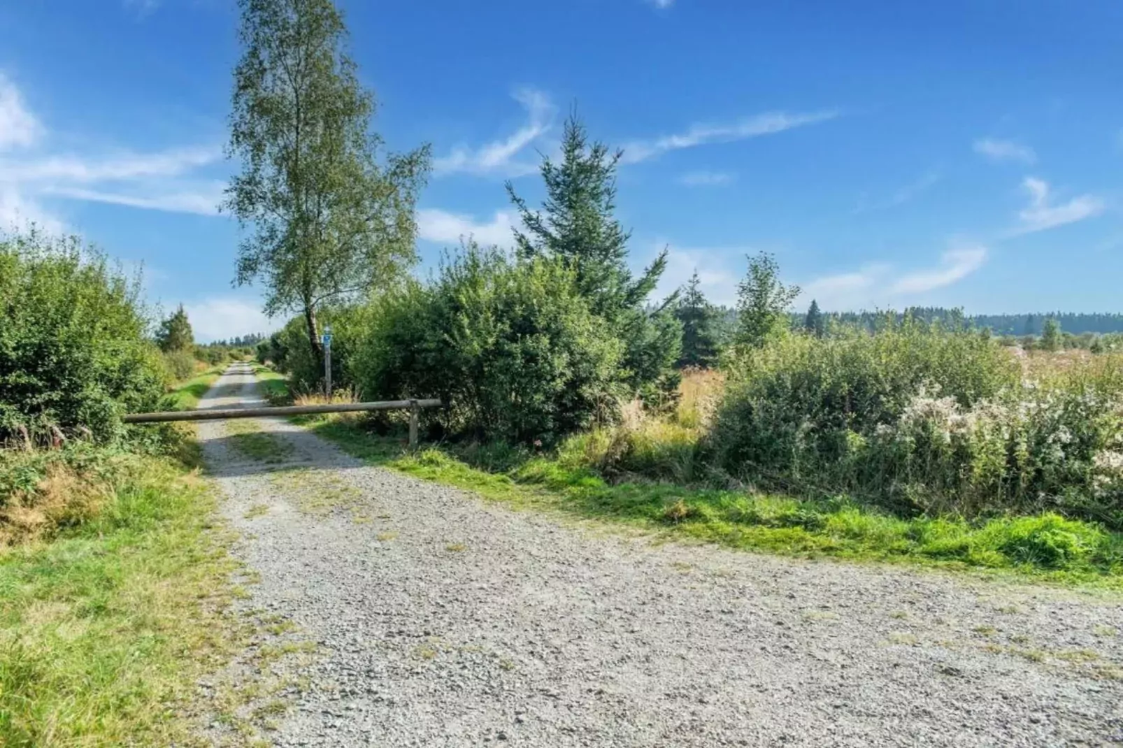 Willingen-Gebieden zomer 20km