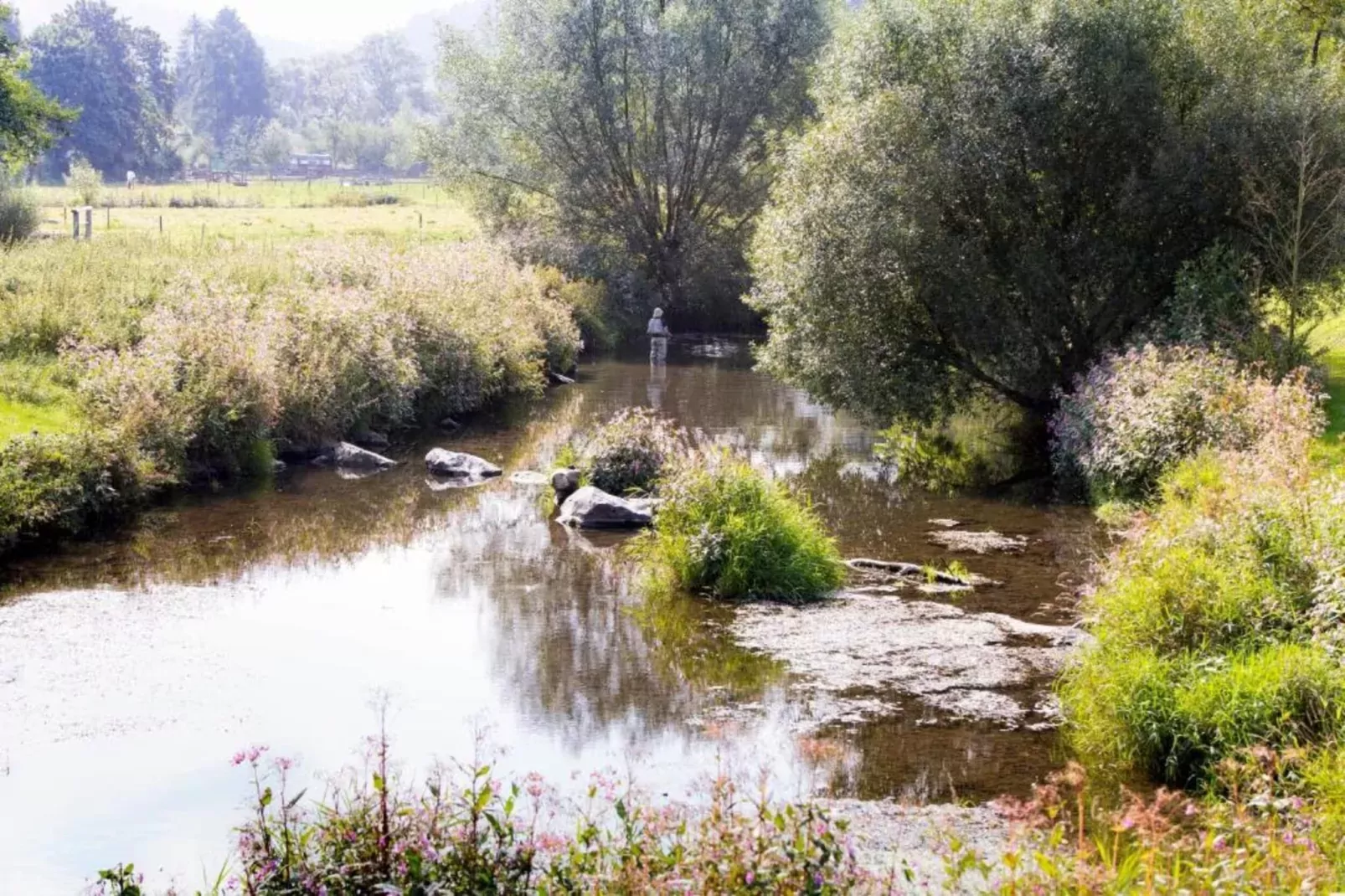 Sauerlandstuben-Gebieden zomer 20km