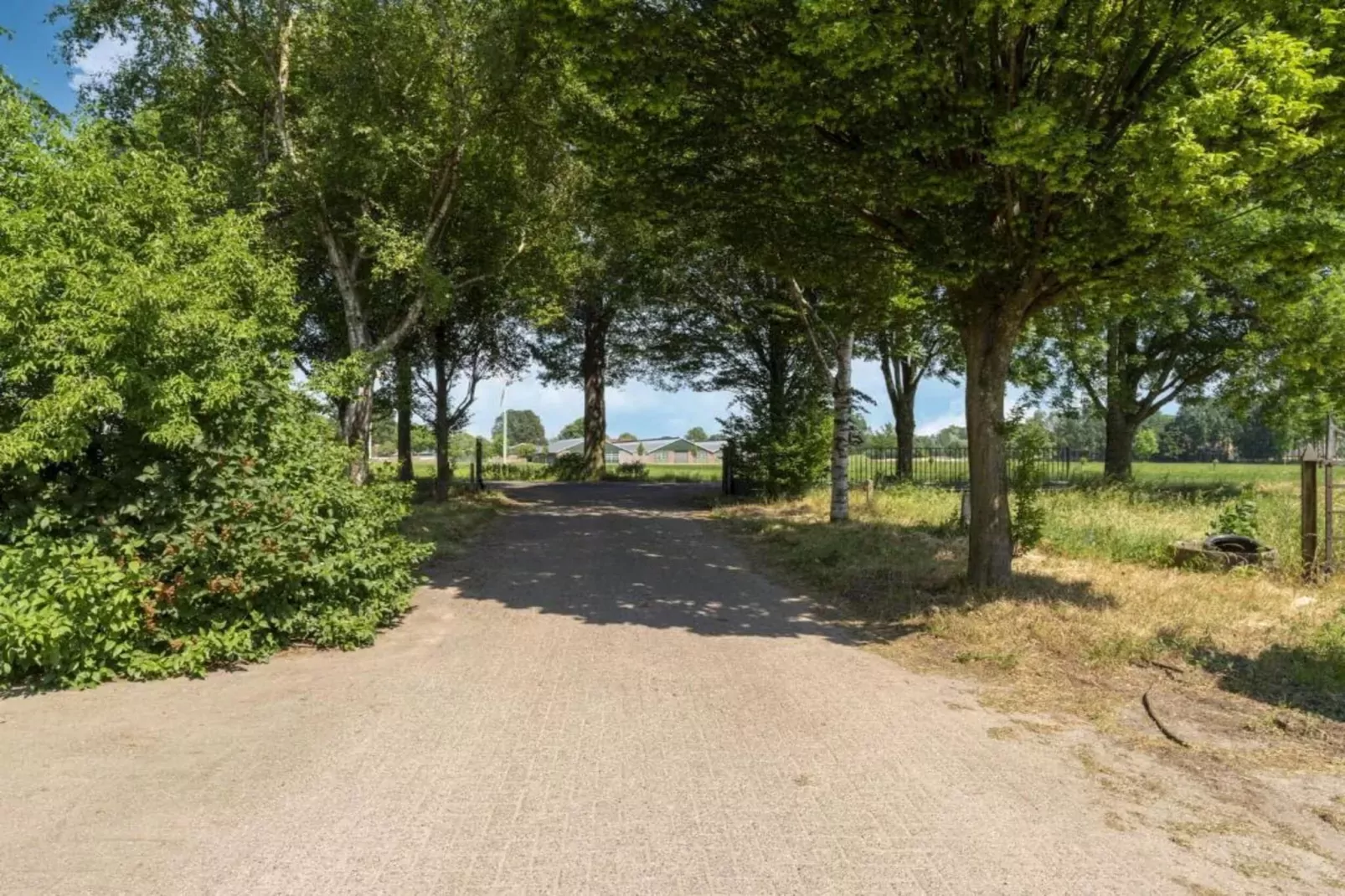 Kabinet-Gebieden zomer 20km