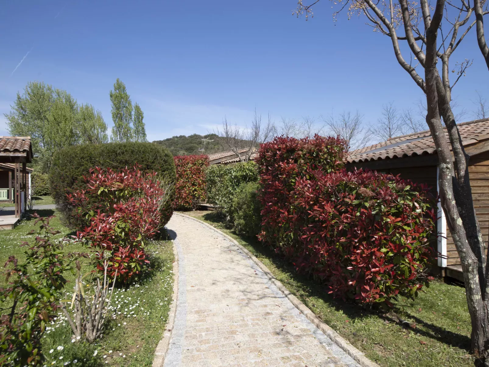 Domaine de Sévenier-Buiten