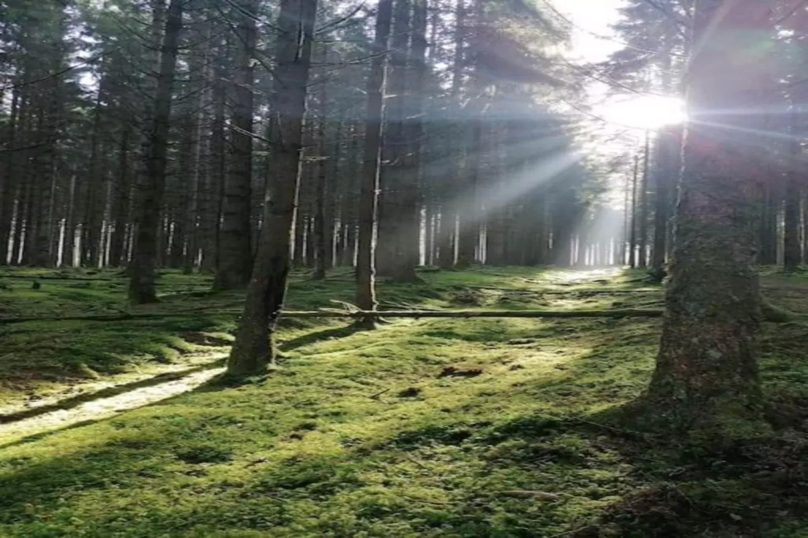 La Source des Bois-Gebieden zomer 20km