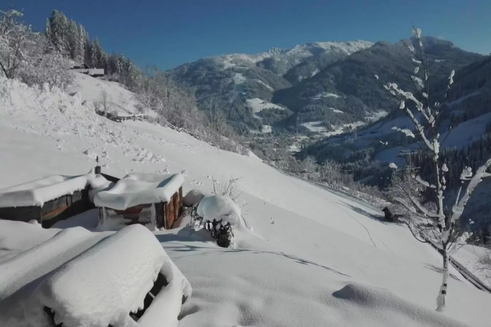 GA2C Alpenleben Apartments-Gebied winter 20km