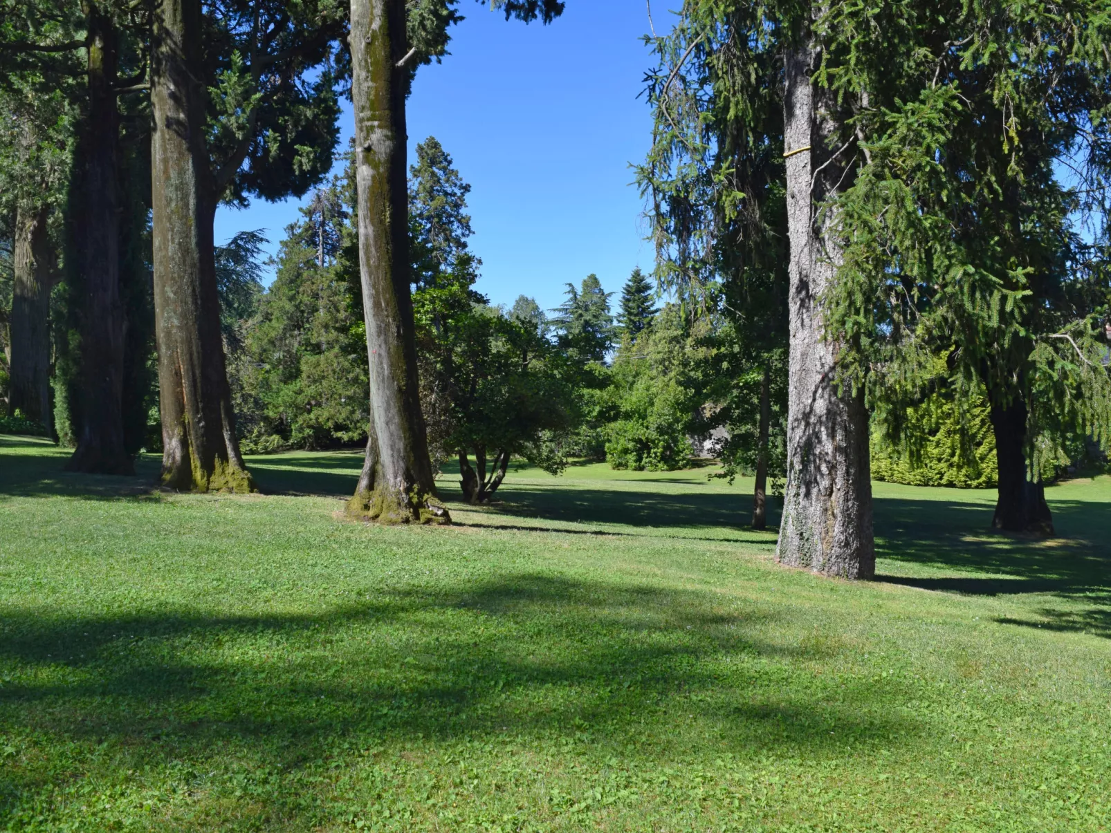 Villa Camelia-Buiten