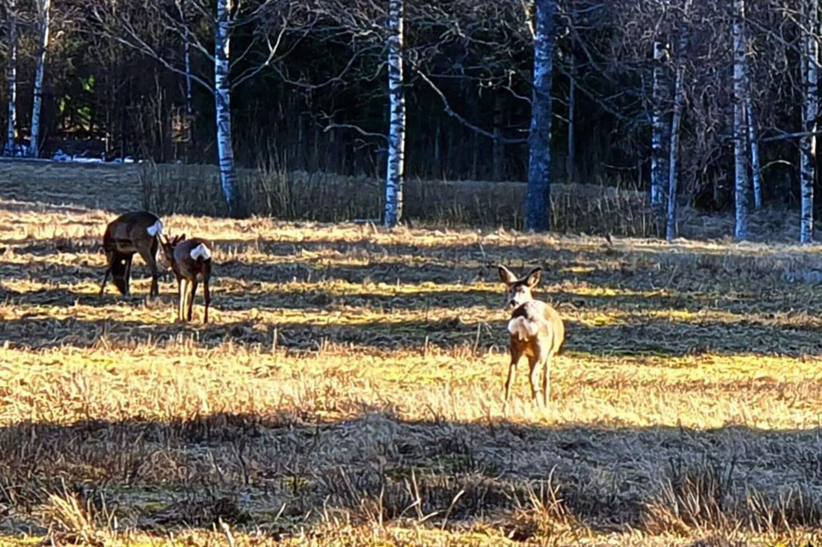 4 persoons vakantie huis in Karlskoga-By Traum-Niet-getagd