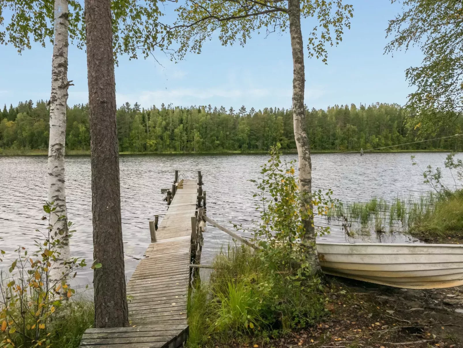 Pikku harrila-Buiten