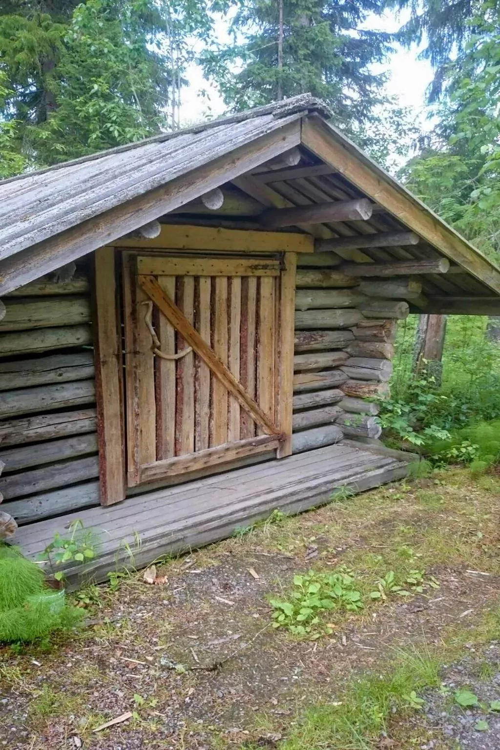 Ranta-koivu-Buiten