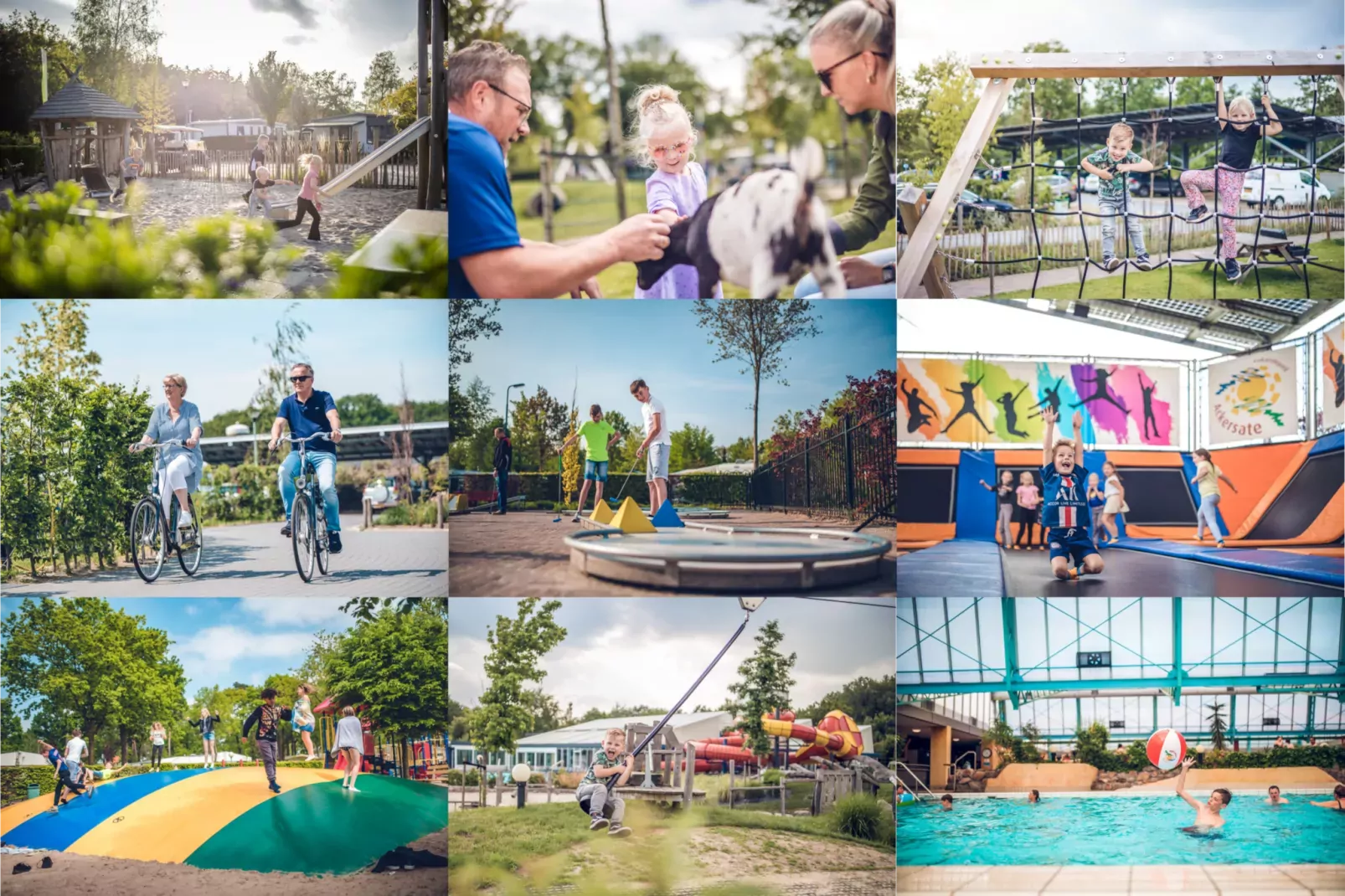 Safari tent 'Vos' | 2 - 5 people | pet allowed