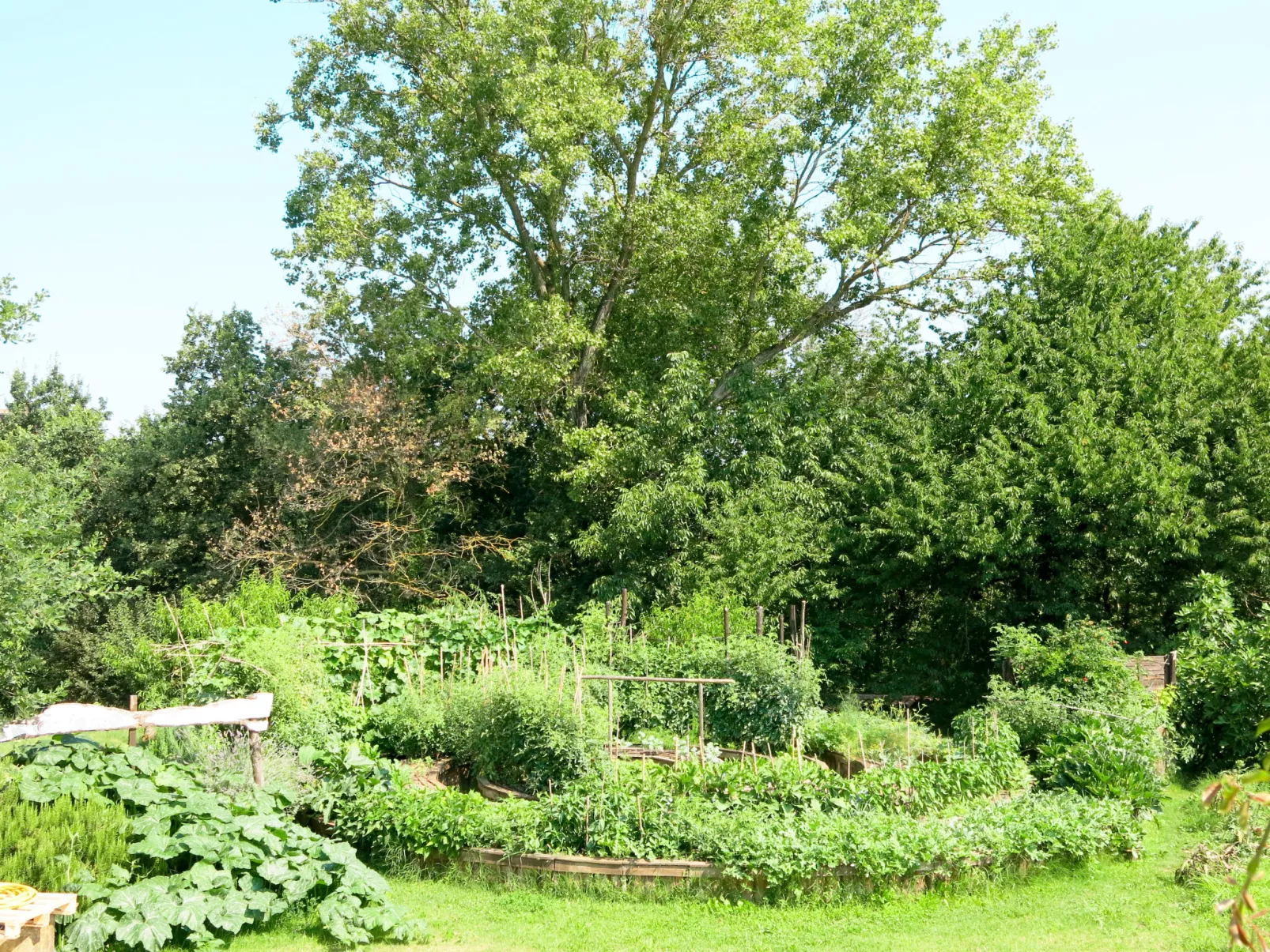 Ortondo B&B-Buiten