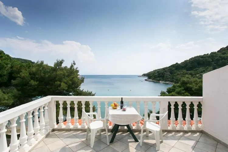 Apartments Franka Saplunara-One-Bedroom Apartment with Terrace and Sea View No 3-Terras