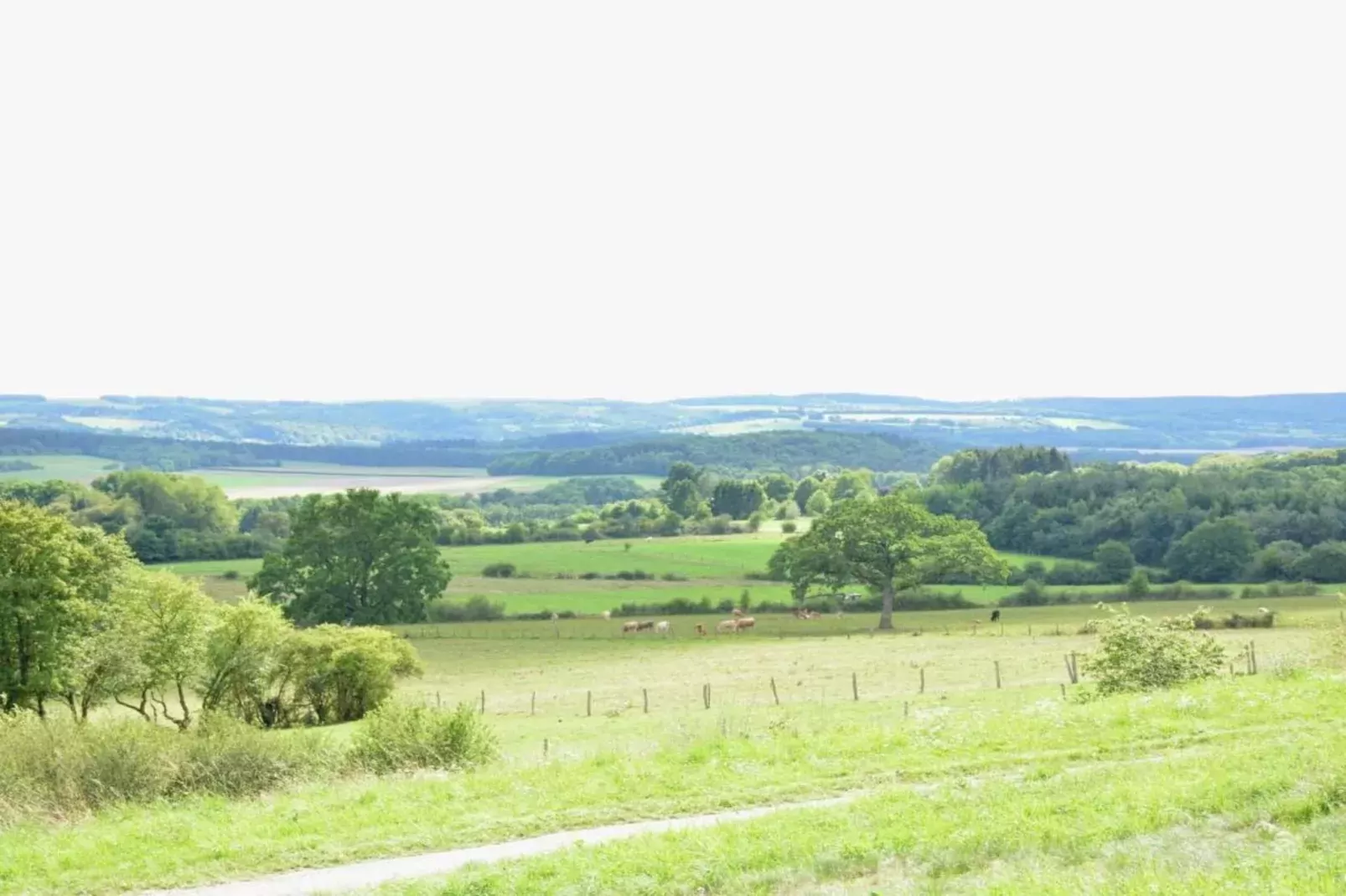 Alouette-Gebieden zomer 20km