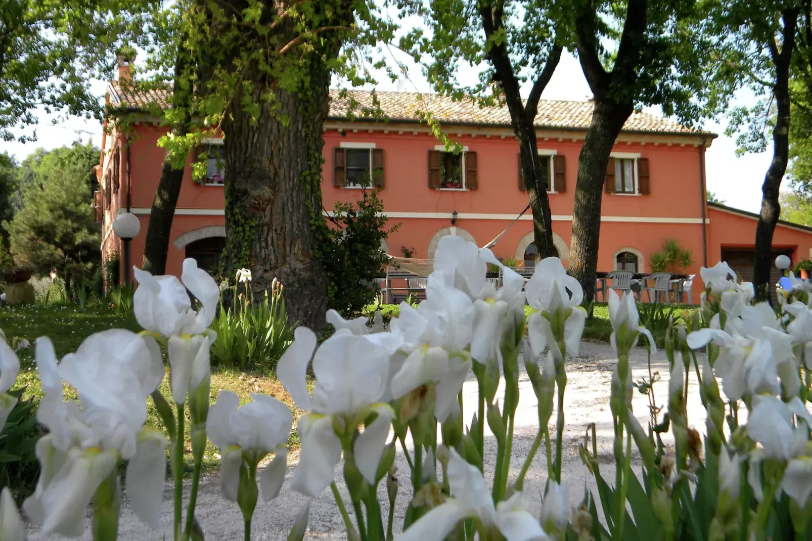 Casa Lella-Sfeer