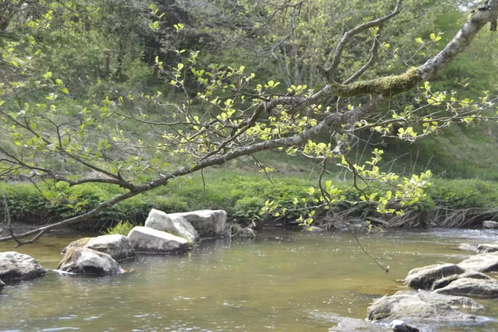 La Source des Bois-Gebieden zomer 20km
