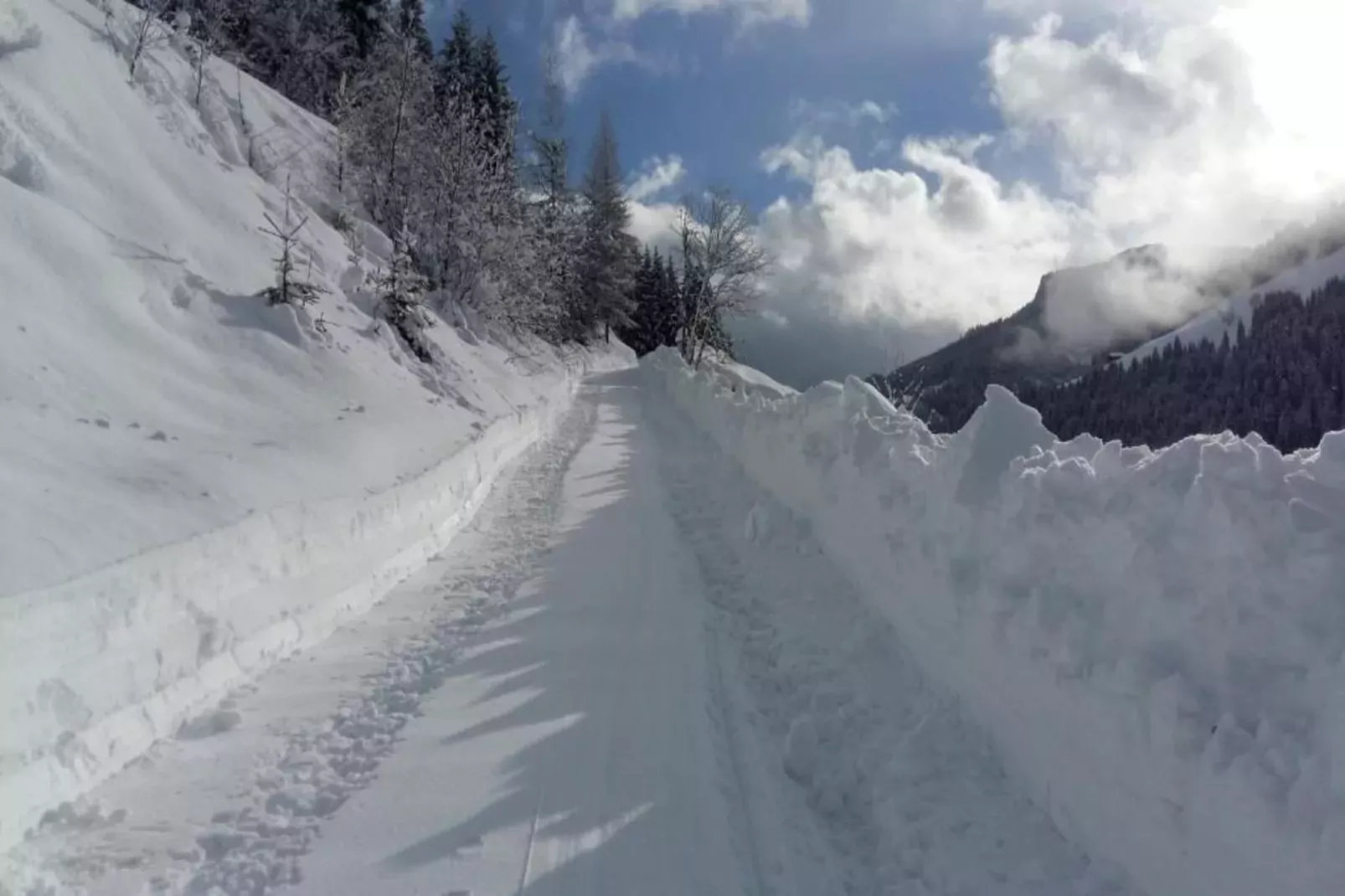 GA2C Alpenleben Apartments-Gebied winter 20km