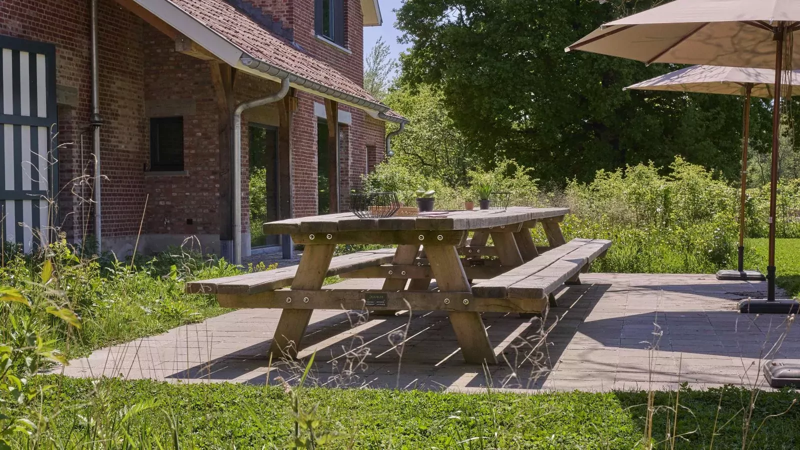 Villa Lactea-Tuinen zomer