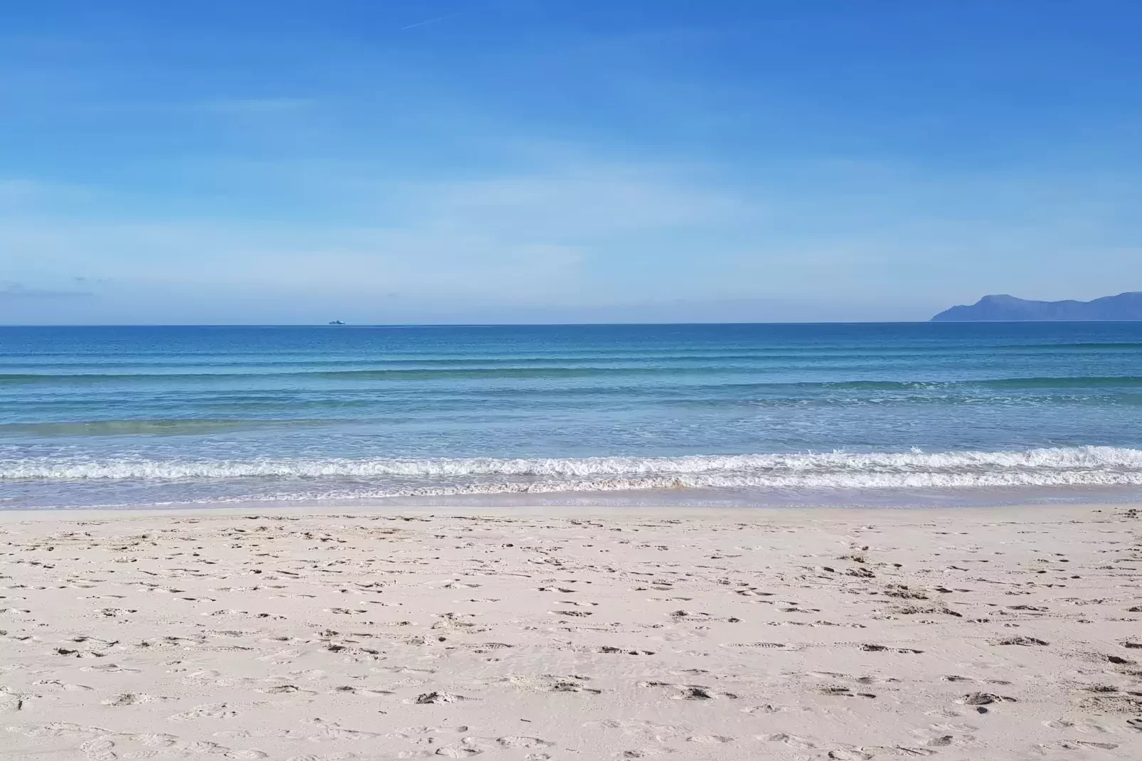 Mar Blau-Gebieden zomer 1km