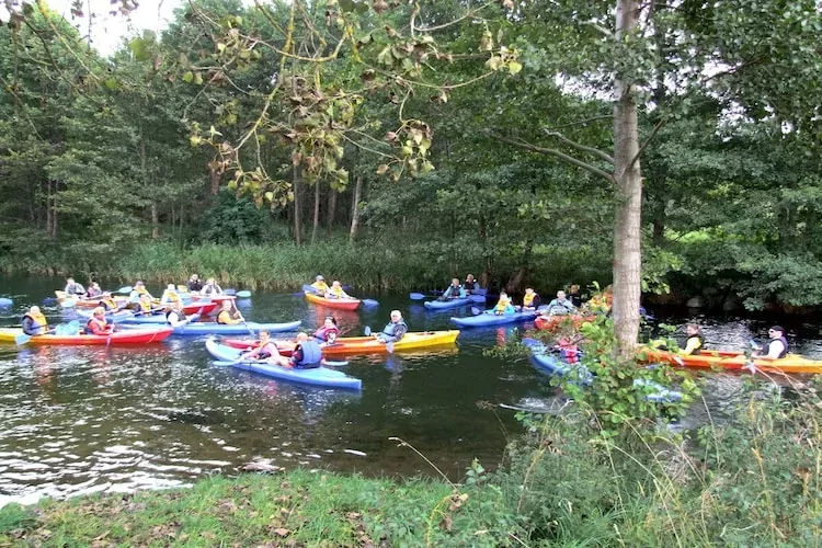 Parterowe domki wakacyjne dla max 4 osób w Jeleniu-Parkfaciliteiten
