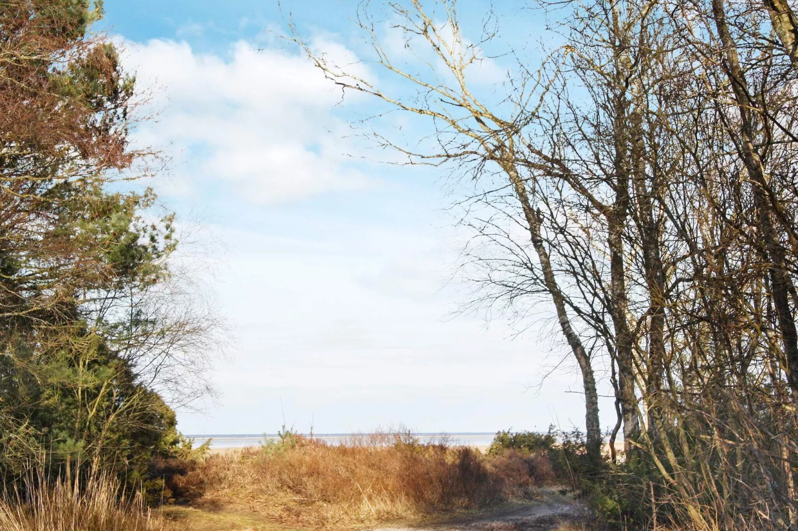 6 persoons vakantie huis in Hadsund-By Traum-Buitenlucht