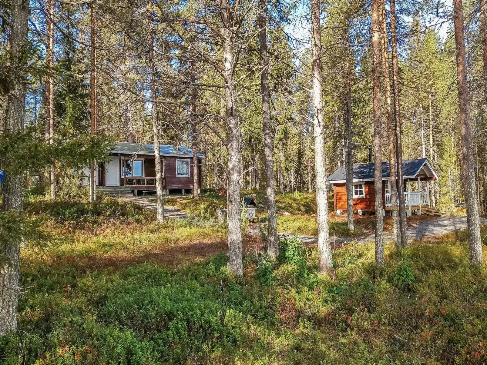 Ylikitkajärvi, kesäkumpu-Buiten
