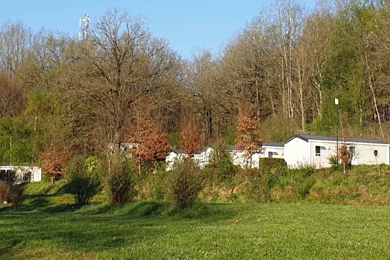 Verblijfpark Ardinam 3-Uitzicht zomer
