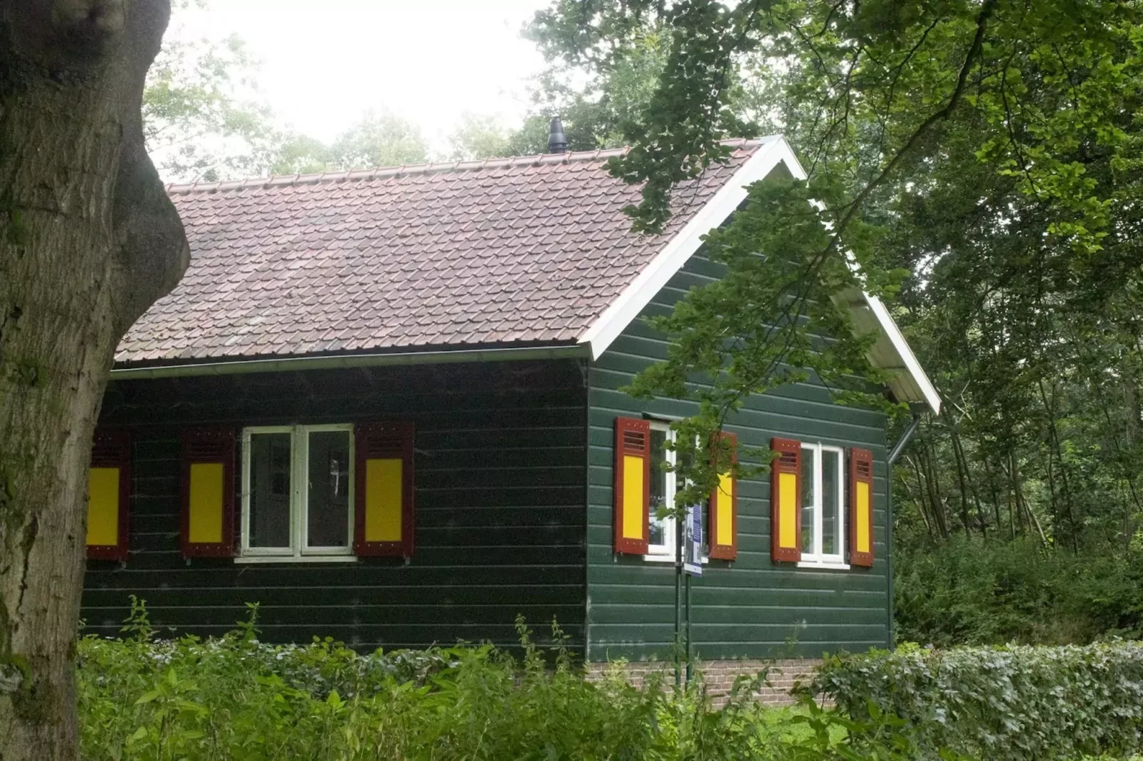 Chalet Bever-Gebieden zomer 1km