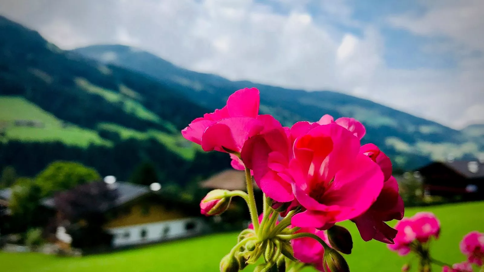 Alpbach Love-Sfeer