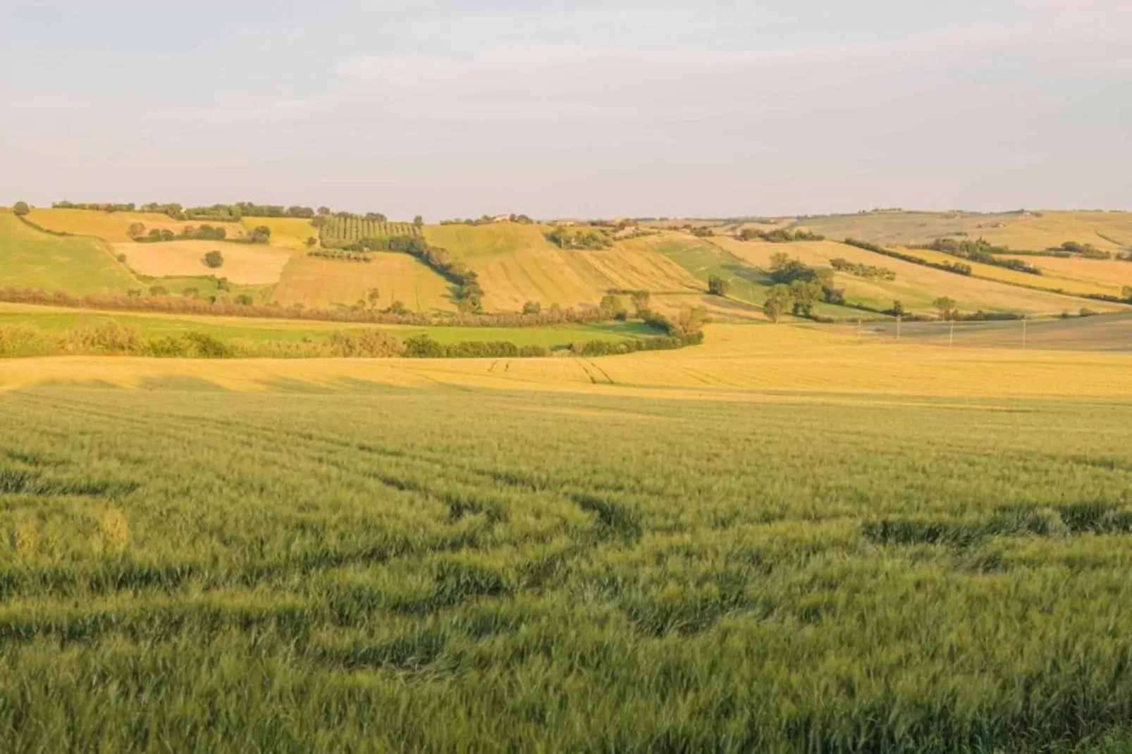 La Cantinaia Botte-Gebieden zomer 20km