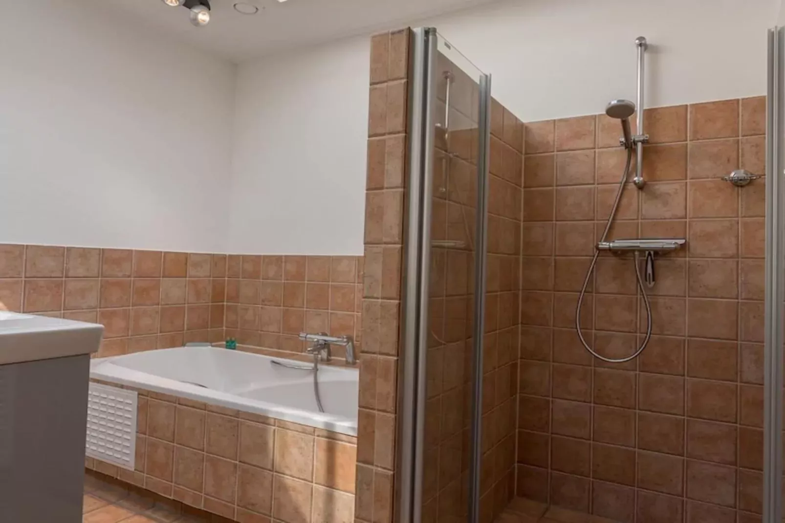 Zilte Bries-Badkamer