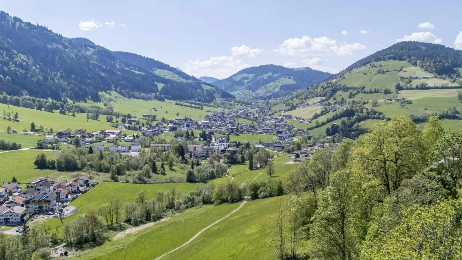 Berghof-Gebieden zomer 1km
