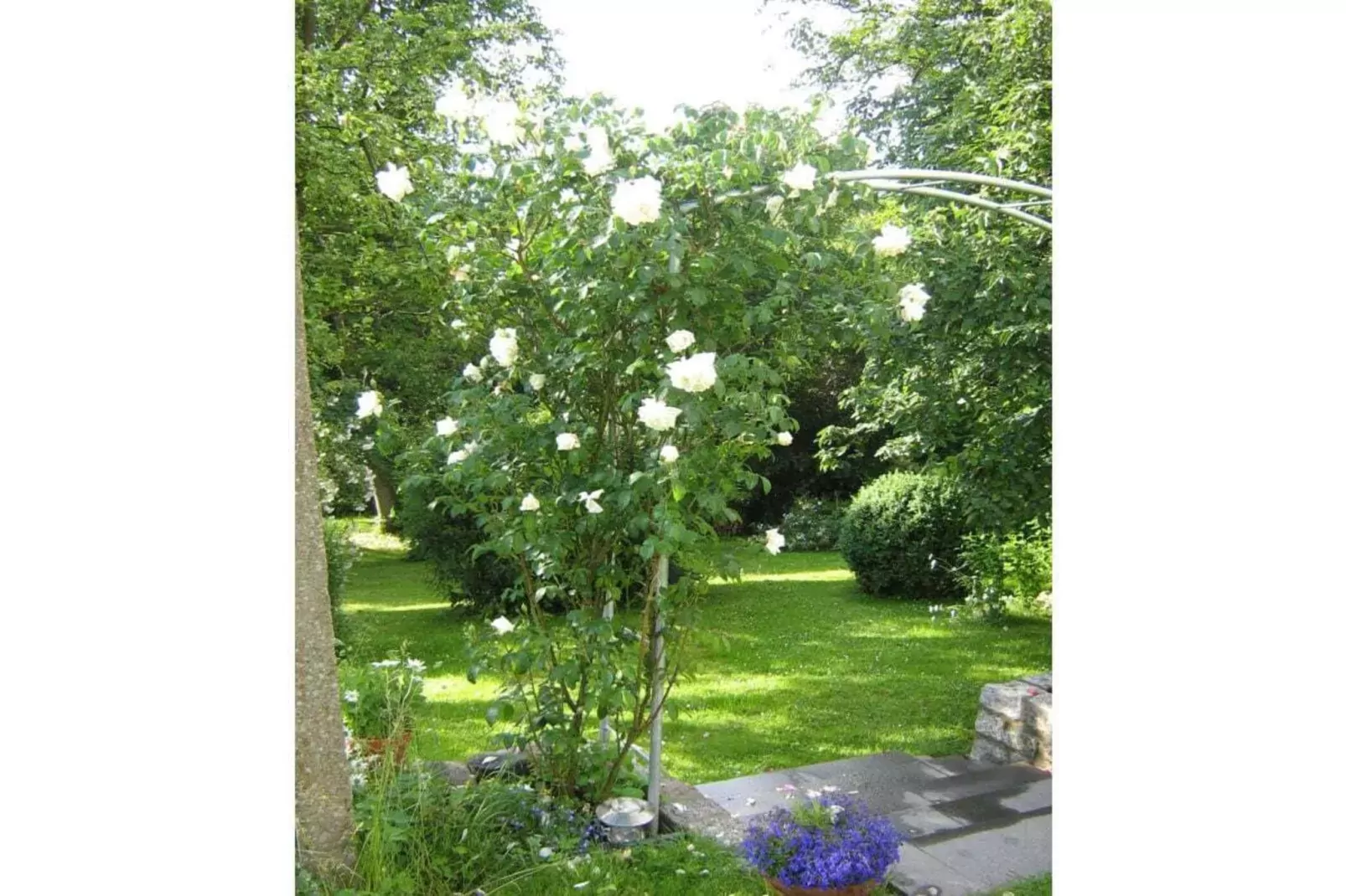 36216-Tuinen zomer
