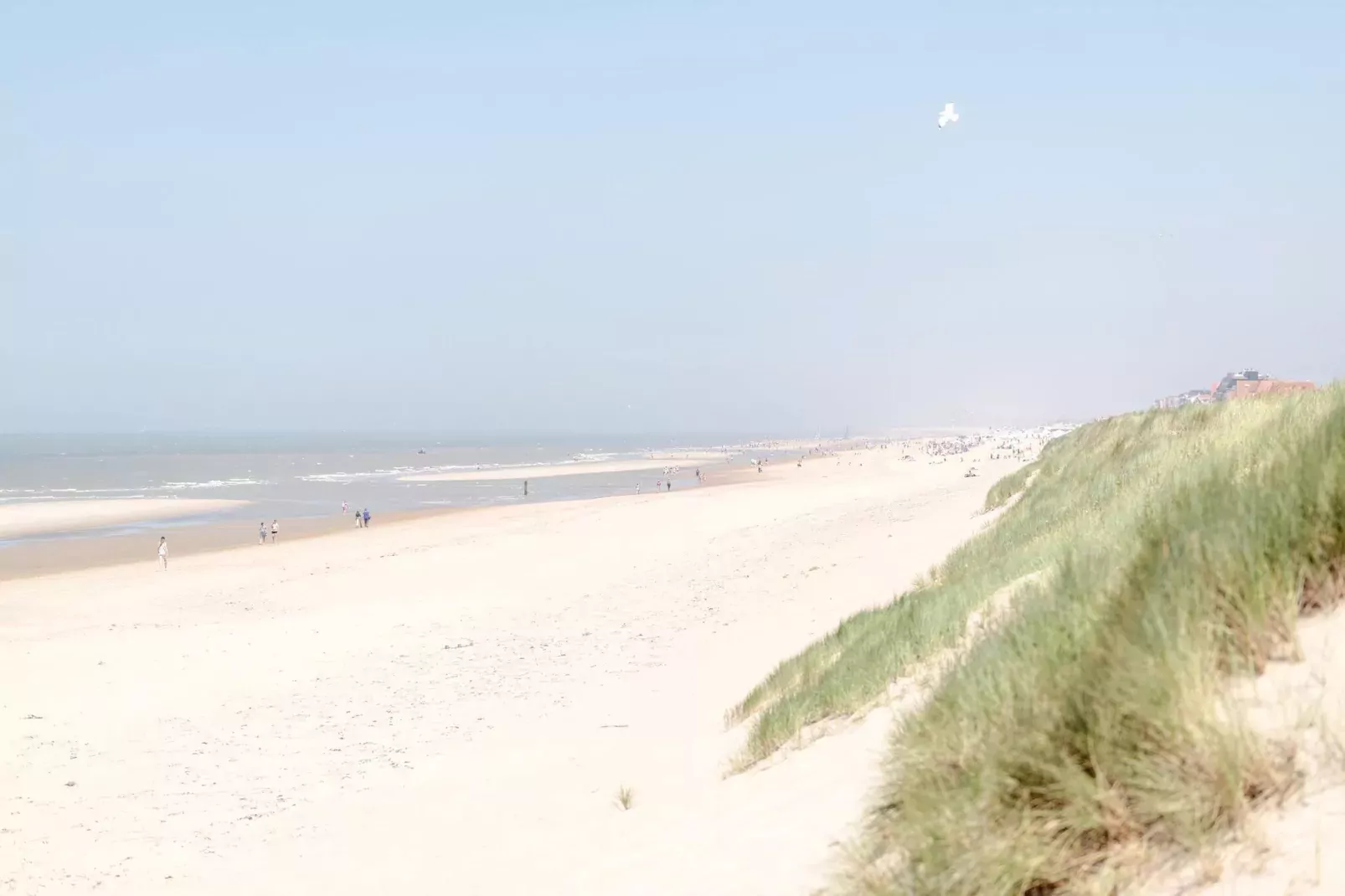 Residentie Welcome 0701-Gebieden zomer 5km