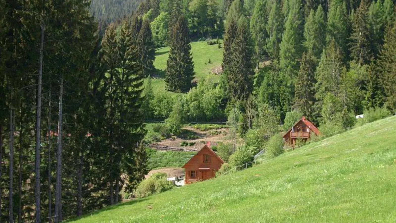 Karawankenpanorama L-Gebieden zomer 5km
