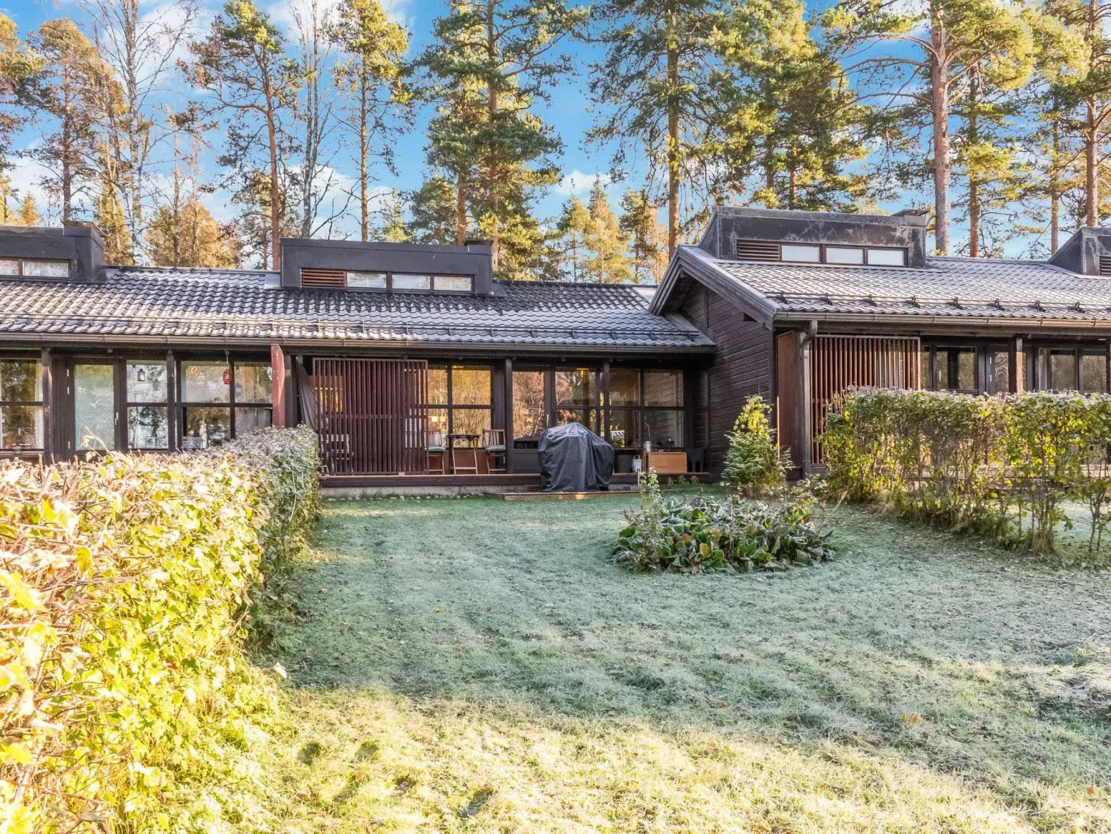 Säästöloma 5 c 10 by bomba-Buiten