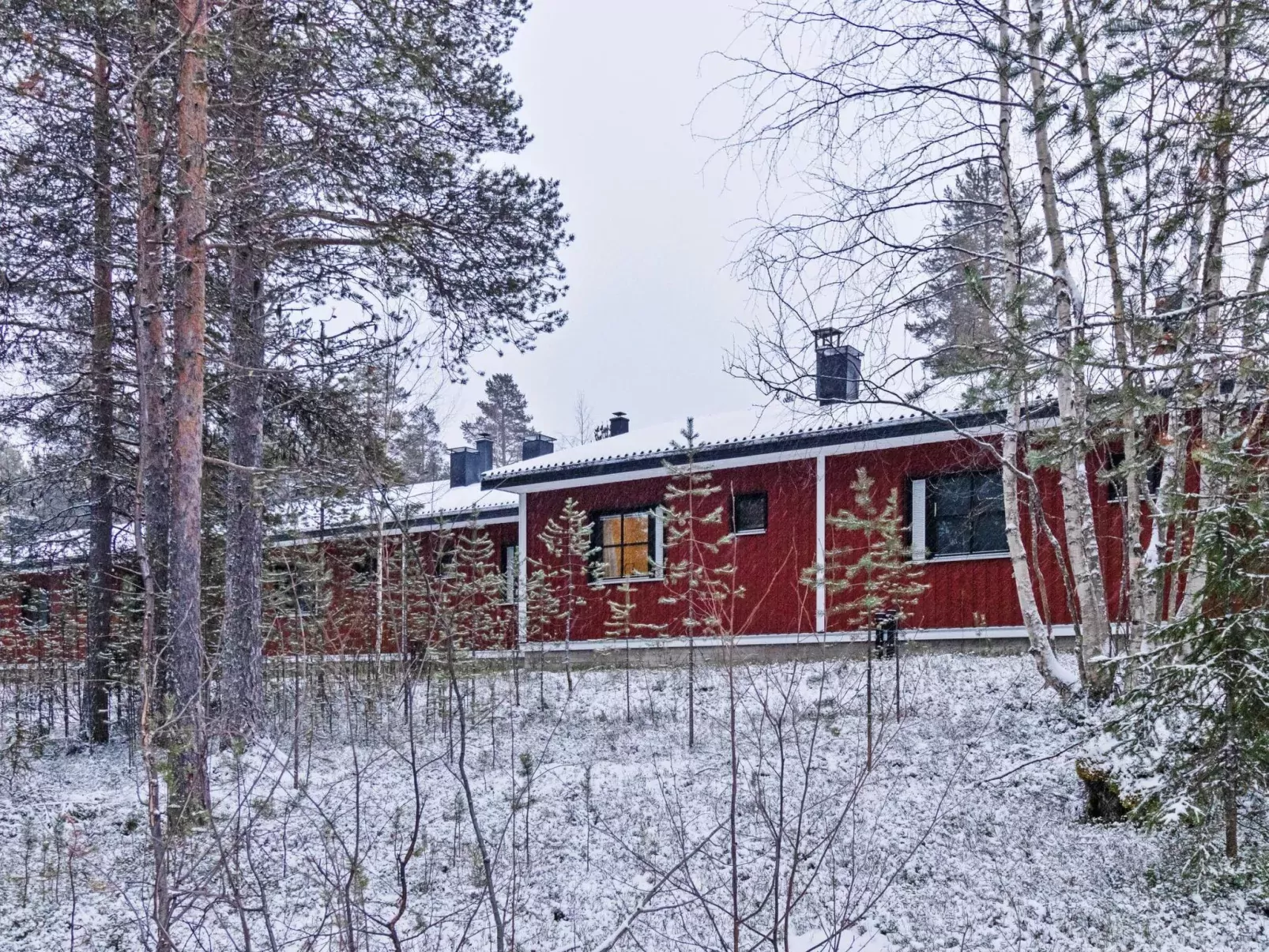 Petsukka-Buiten